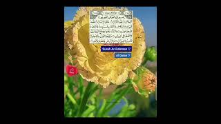 Surah ArRahman ♡  Al Quran ♡  The Straight path  صراط المستقيم [upl. by Hitchcock]