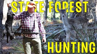 NSW State Forest Goat Deer amp Rabbit Hunting  Goat amp Venison Catch amp Cook On The Fire [upl. by Obeng505]