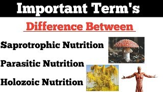 Nutrition Saprotrophic Nutrition  Parasitic Nutrition  Holozoic Nutrition  By Dadhich Sir [upl. by Edison602]