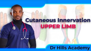 Cutaneous Innervation of the Upper Limb  Made Easy [upl. by Naed]