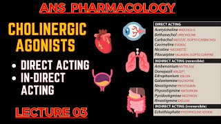 Cholinergic Agonists  Parasympathomimetic Drugs  Direct Acting amp indirect acting  L3 [upl. by Pirnot]