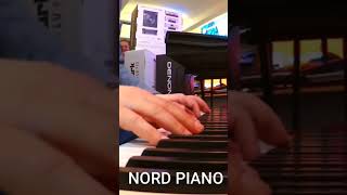 NORD PIANO 5  The Last Hope for our Love [upl. by Sherr]