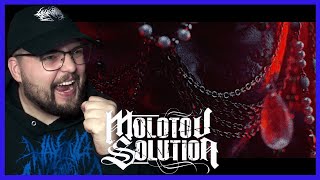 OMG DIESE DEATHCORE LEGENDEN SIND ZURÜCK  MOLOTOV SOLUTION  DEVOUR THE CHILDREN  REACTION [upl. by Winni]