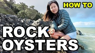 How To Collect Shuck and Eat WILD OYSTERS [upl. by Assilram]