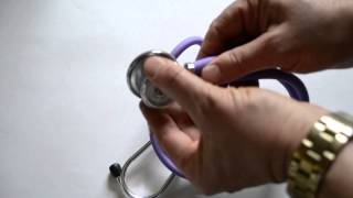 Stethoscope Sprague rappaport purple tube option review [upl. by Clerc]