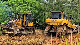 The Easy Way To Clearing The Land Using Dozer CAT D7R and CAT D6G [upl. by Eidnas]