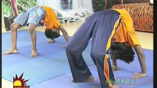 Dr Asana Andiappan Kalaignar Tv Yoga Program 03042013 [upl. by Elberfeld]