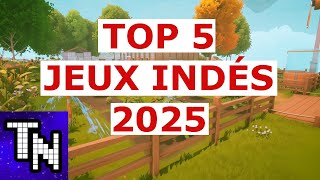 TOP 5 des jeux indés 2025 [upl. by Nikki]