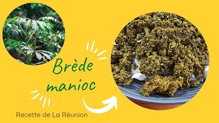 🇷🇪 Comment cuisiner le Brède manioc  Cuisine de La Réunion [upl. by Ojimmas975]