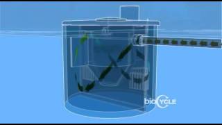 BIOCYCLE TANK ANATOMY 30 [upl. by Mendelsohn537]