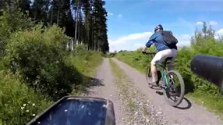 Mountainbike tocht Baraque fraiture  Vielsalm en terug 21062018 [upl. by Ezarra]