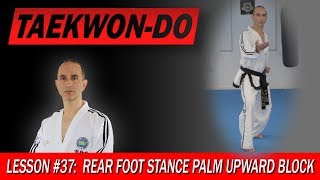 Rear Foot Stance Upward Block  TaekwonDo Lesson 37 [upl. by Abagail534]