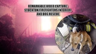 Remarkable Video Capture Stockton Firefighters Interior amp Dog Rescue [upl. by Milissent17]