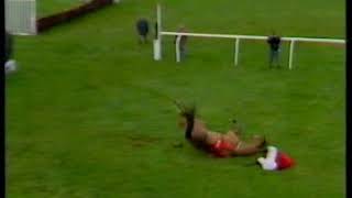 1987 King George VI Chase Nupsala Includes Replay [upl. by Yelsnya]