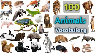 Animals Vocabulary In English ll 100 Animals Name In English With Pictures [upl. by Naejamron]