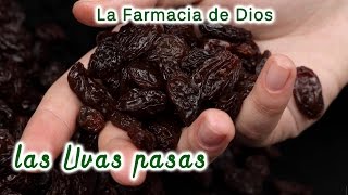 Las uvas pasas propiedades y beneficios para nuestra salud [upl. by Arita]