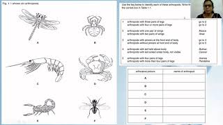 Unit 1 Classification Dichotomous key with past paper questions [upl. by Atirabrab]