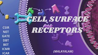 CELL SURFACE RECEPTORS CSIR NET  GATE  MALAYALAM  ANJALIKRISHNA [upl. by Aekim]