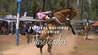 Festival Nacional del Chivo 2023  Jineteadas [upl. by Wilow327]