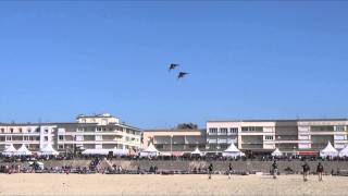 CerfsVolants Berck 2014  CerfsVolants Folie [upl. by Londoner82]