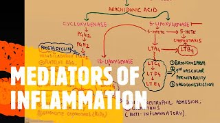 GENERAL PATHOLOGY II CHAP 3 II INFLAMMATION II MEDIATORS OF INFLAMMATION II ROBBINS 10TH EDITION [upl. by Anyah]