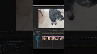 Premiere Pro 2024 Preferences Default Durations filmproduction movie videoediting editing [upl. by Elliott364]