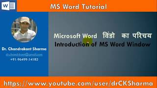 MS Word Windows and Its Components in Hindi [upl. by Eelime]