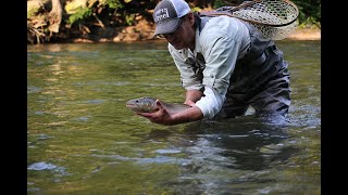 The Esopus CreekA Wild Fishery by Todd Spire [upl. by Ettolrahs]