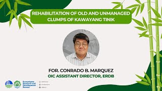 LECTURE 4 Rehabilitation of Old and Unmanaged Clumps of Kawayang Tinik [upl. by Carilyn379]