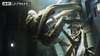 Prometheus 4K HDR  Engineer Vs Alien [upl. by Fulmis]