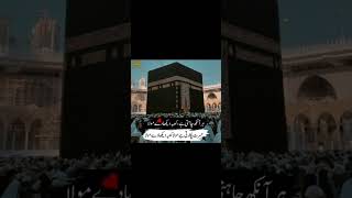 kaba dihka dy molladeeplines youtubeshorts youtubelikes subscribemychannel [upl. by Nosreh635]