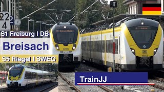 Breisach am Rhein  S1 Freiburg  Br 1440 Alstom Coradia Continental amp S5 Riegel  Br 442 Talent 2 [upl. by Nwonknu]