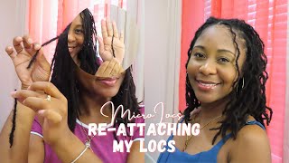 ReAttaching My Locs  DIY Microlocs [upl. by Leile425]