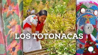 Nación Totonaca El pueblo originario de Veracruz [upl. by Edmon]