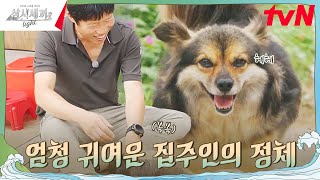 우리의 또 다른 가족 복구를 소개합니다🐶 삼시세끼Light EP1  tvN 240920 방송 [upl. by Marsiella152]