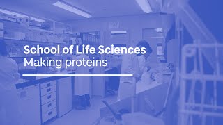 Making proteins audio described [upl. by Anaujnas]