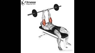 Lying Triceps Press [upl. by Sucrad]