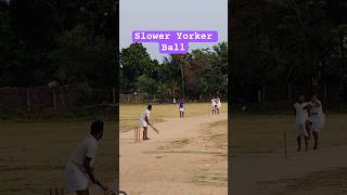 Slower Yorker Ball🏏 cricket shorts ipl cricketlover trendingshortsviralvideotrendviralvideo [upl. by Aicirtel]