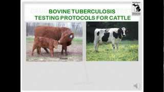 Bovine TB Testing Protocols for Cattle  MDARD [upl. by Gina745]