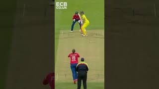 🍿 Stumps Flying  Clean Bowled Wickets 2023 shorts [upl. by Adliwa]