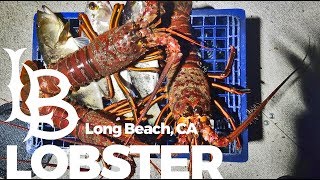 Slayday Long Beach Lobster  California Spiny Lobster  Catch Clean Cook [upl. by Aninaj846]