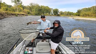 Yakima River Fly Fishing ReportSeptember 27th 2024Worley Bugger Fly Co [upl. by Hafler]