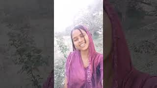 Bedardi Mohabbat sahne de Hindi gana Bhojpuri song 2024 viral video [upl. by Arbas]