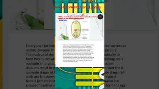 With a neat diagram explain the 7celled 8nucleate nature of the female gametophytesexual [upl. by Amer]