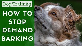 How To Teach Your Dog Not To Demand Bark [upl. by Snyder977]