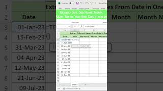 Use TEXT Function to Extract Day Month Year from Date in one go  ExcelandPowerBI  shorts [upl. by Pasco313]