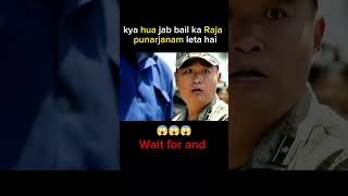 Durbhagya se jab bail ka Raja punarjanm shorts movie trending [upl. by Tani54]