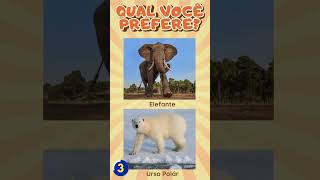 ELEFANTE ou URSO POLÁR Qual você PREFERE  Quiz de Animais [upl. by Latton]