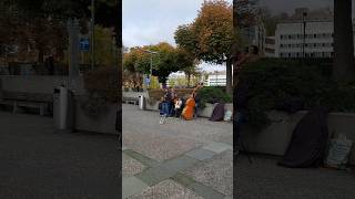 Street performance at Zurich Switzerland travel travelvlog travelvideo streetmusician [upl. by Neel]