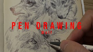 Wolf Pen Drawing Study [upl. by Barbaraanne682]